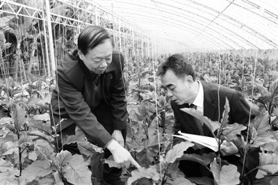 提升“三农”金融服务