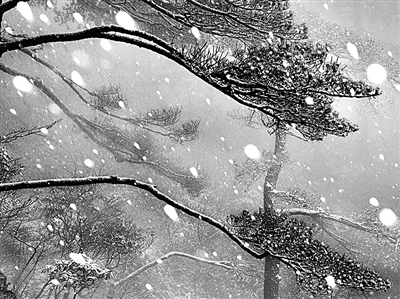 传统画意摄影应与当代视野互动