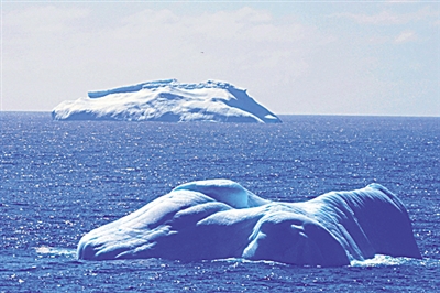 南极威德尔海的冰山与鲸鱼