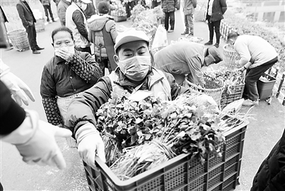 四川省华蓥市：满足市民菜篮子需求