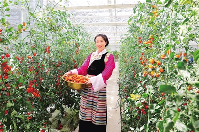 开对“药方子” 拔掉“穷根子”——四川藏区整体告别绝对贫困 开对“药方子” 拔掉“穷根子”——四川藏区整体告别绝对贫困