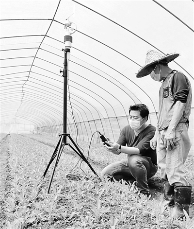 气象科技助农增收