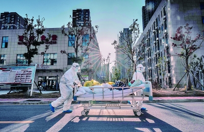 集结科研力量 探索抗疫良方 集结科研力量 探索抗疫良方