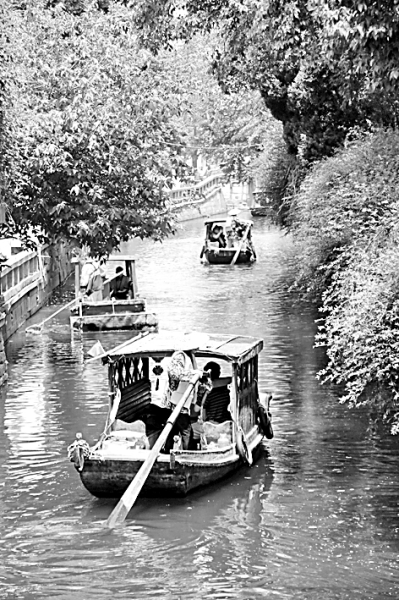 旅游市场，在回暖中蓄势待发