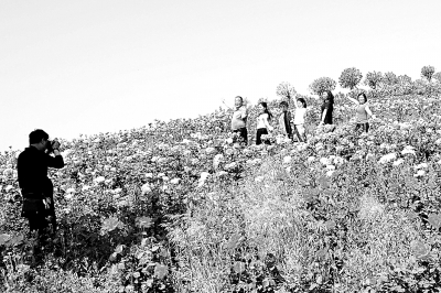 旅游市场，在回暖中蓄势待发