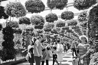 旅游市场，在回暖中蓄势待发