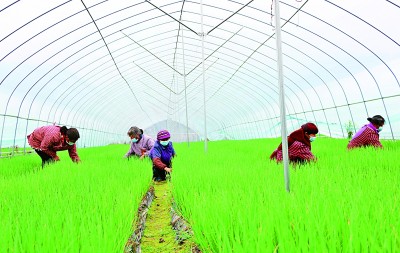 巩固拓展脱贫攻坚成果