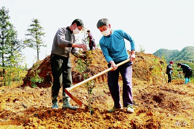 巩固拓展脱贫攻坚成果