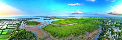 海口：“湿地+”走进市民美好生活