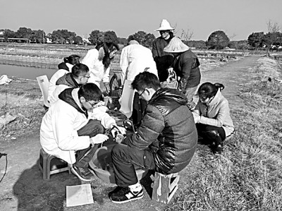 南昌大学有个“稻渔工程”团队