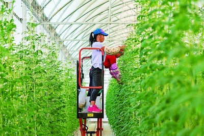 广东：务实举措推动创新发展