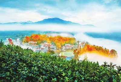 “两山”理念的浙江实践 让绿色成为最动人的色彩
