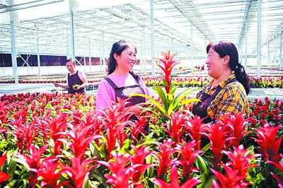 搬出穷山窝 走上小康路——山西易地扶贫搬迁之路
