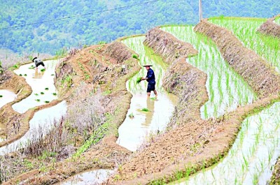 独特的农业生态景观——梯田