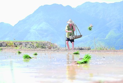 独特的农业生态景观——梯田