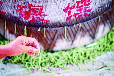 光明日报生态文明版：印象碾馔