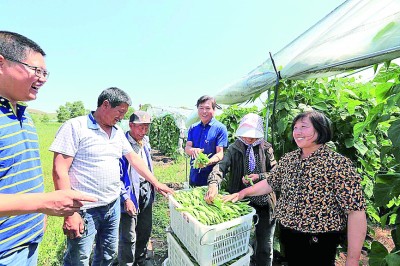 28岁，我在深山“穷旮旯”里当上第一书记