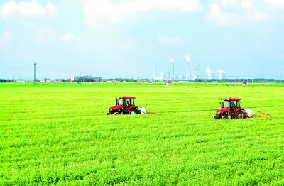 吉林：厚植農業優勢 推動産業升級