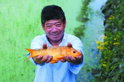实现生态产品价值，市场化路径有哪些