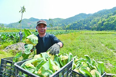 实现生态产品价值，市场化路径有哪些