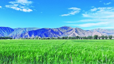 西藏阿里地区、日喀则市脱贫攻坚见闻