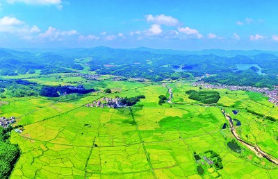 江西省金溪县：改善农业生产条件 美化乡村环境