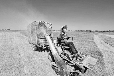 河南省兰考县东坝头镇张庄村村民在修剪草皮