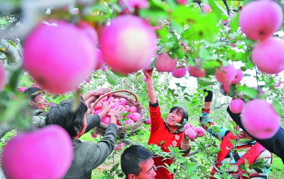 从“单行线”到“双车道”