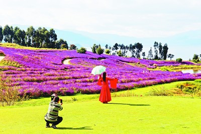 云南昆明阳宗海：青山绿水引客来