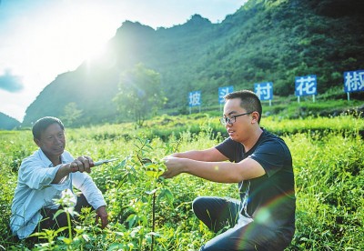 来自不同领域的年轻干部代表讲述心声：在火热现实与矢志奋斗中提高“七种能力”