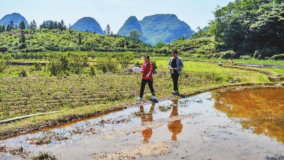 来自不同领域的年轻干部代表讲述心声：在火热现实与矢志奋斗中提高“七种能力”