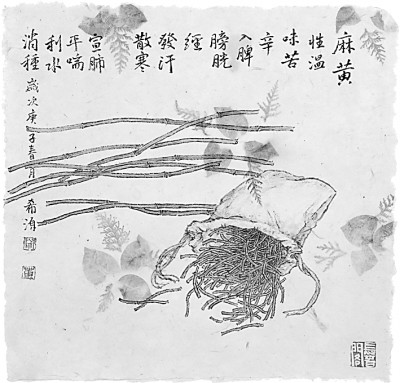 抗疫中药方剂首次成系列被搬上画卷