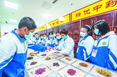 学生在药剂师指导下识别各类中药材