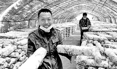 辽宁省岫岩满族自治县大力开展扶贫产业项目建设