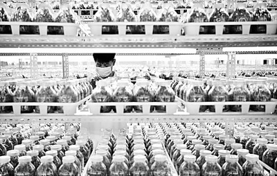 中国的育种科技差距在哪里