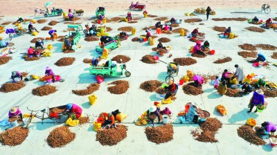 江西省永丰县：实施精准扶贫 带领农民增收致富