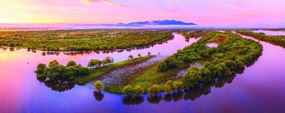 “鸟声”与“民生”缘何难以调和——来自黑龙江流域湿地保护的探索与思考