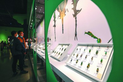 世界珍稀昆虫标本展开展