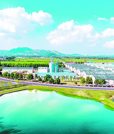 以“良法”促“善治”：为粮食市场流通保驾护航