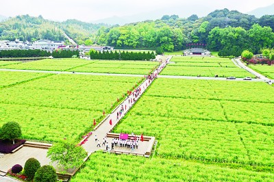 深化拓展新时代文明实践中心建设