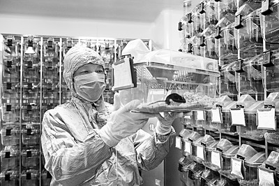 生命科学研究亟待补齐短板