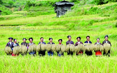 在岁月如歌中感受沧桑巨变 在岁月如歌中感受沧桑巨变