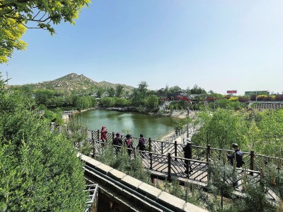 河北平山縣李家莊村,遊客在池塘邊棧道上拍照留念.