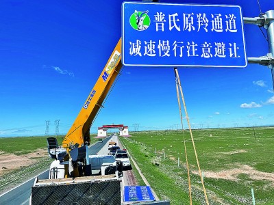 青海建成中国首个普氏原羚保护通道