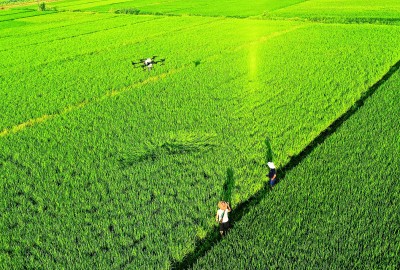“空中管护”忙