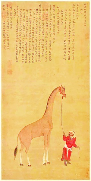 畅游在汉字里的动物世界