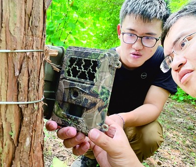 追踪城市里的貉，青年调查员在行动