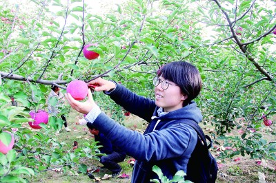 相伴乡村的美好，得之我幸