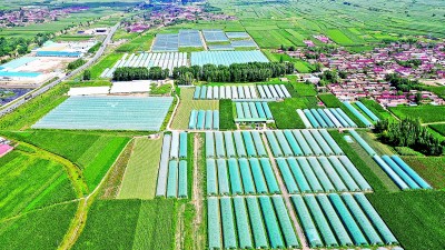 河北张家口：构建环京津重要“菜篮子”供应保障基地