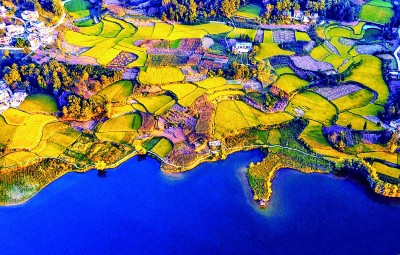 丰收图景